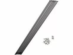 Mavic Radios Repuesto Crossone 29" / Aksium Disc / Crossmax Desde Mod. 2014