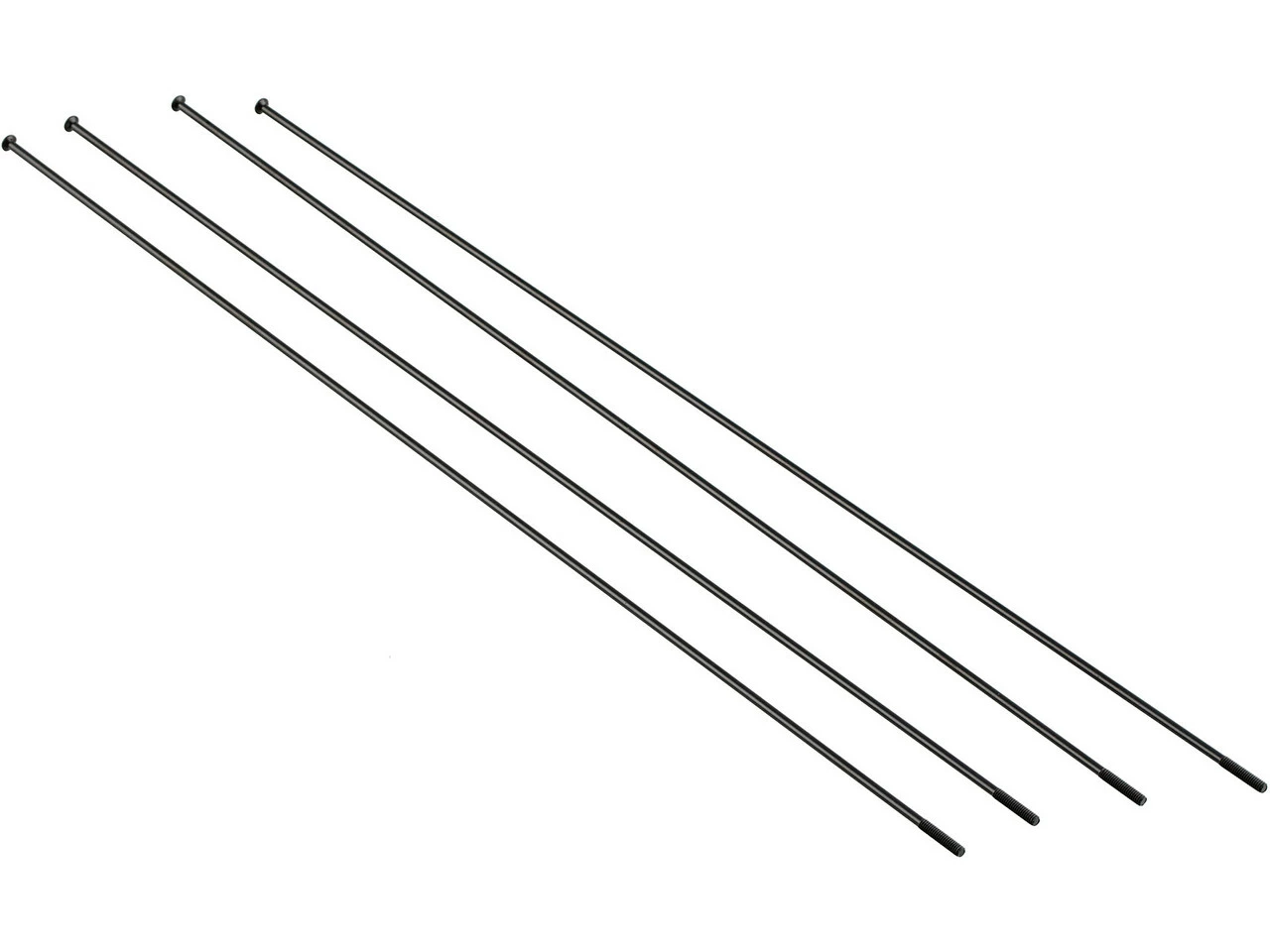 Fulcrum Radios De Repuesto Racing 7 Desde Modelo 2014 5 Fulcrum Radios De Repuesto Racing 7 Desde Modelo 2014 - Imagen 5