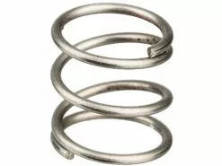 Dt-swiss Resorte Para RWS Cierre Rápido De Buje Road/MTB