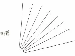 Fulcrum Radios De Repuesto Red Power 29 Desde Modelo 2015