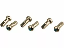 Campagnolo® Kit De Mini Radios Bullet 50 Mm Desde Modelo 2012 -bicicleta Ventas 2023 155727