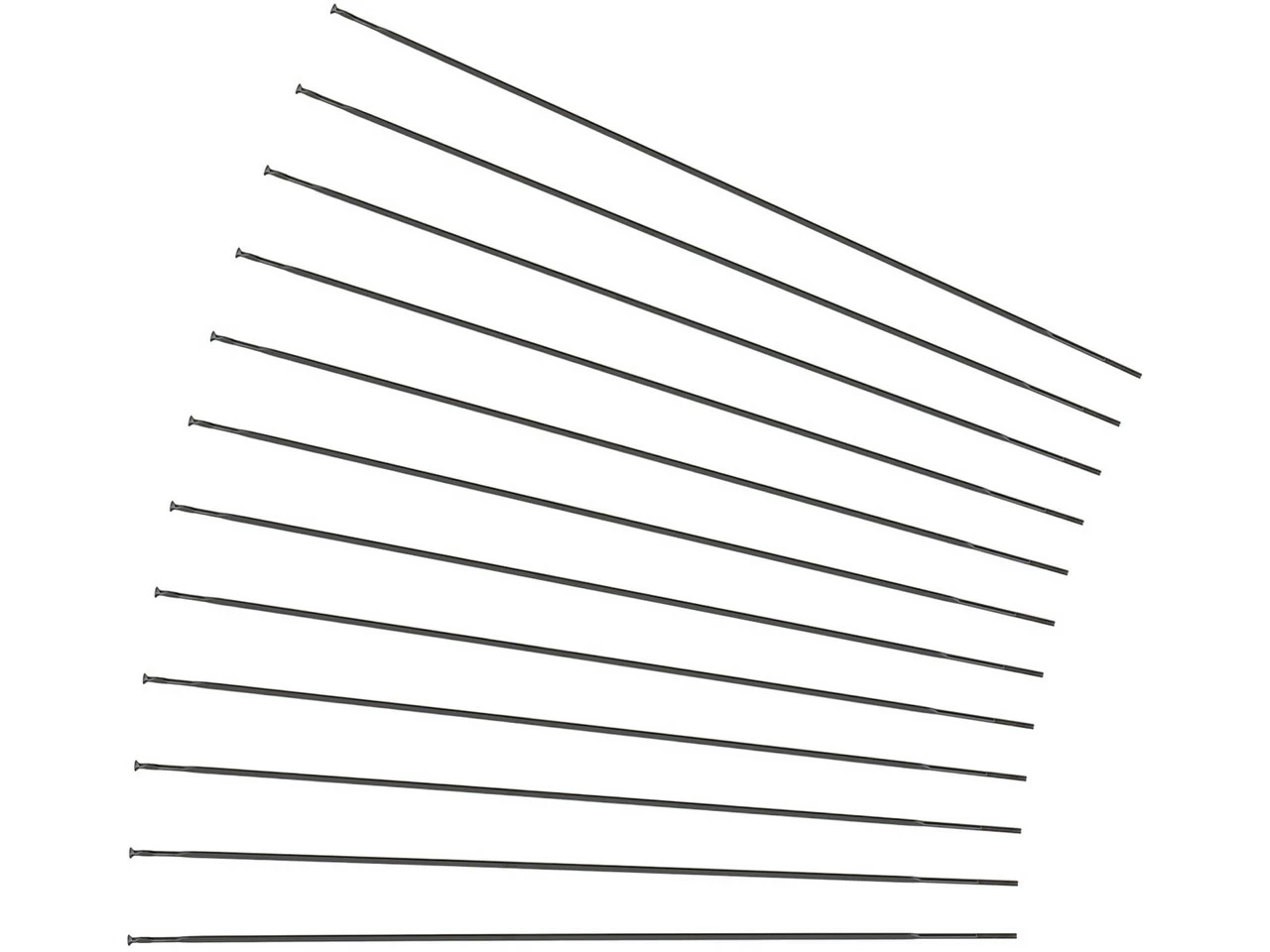 Mavic Radios De Repuesto Crossride / XA/Crossmax Elite 29" Desde Modelo 2016 1 Mavic Radios De Repuesto Crossride / XA/Crossmax Elite 29" Desde Modelo 2016