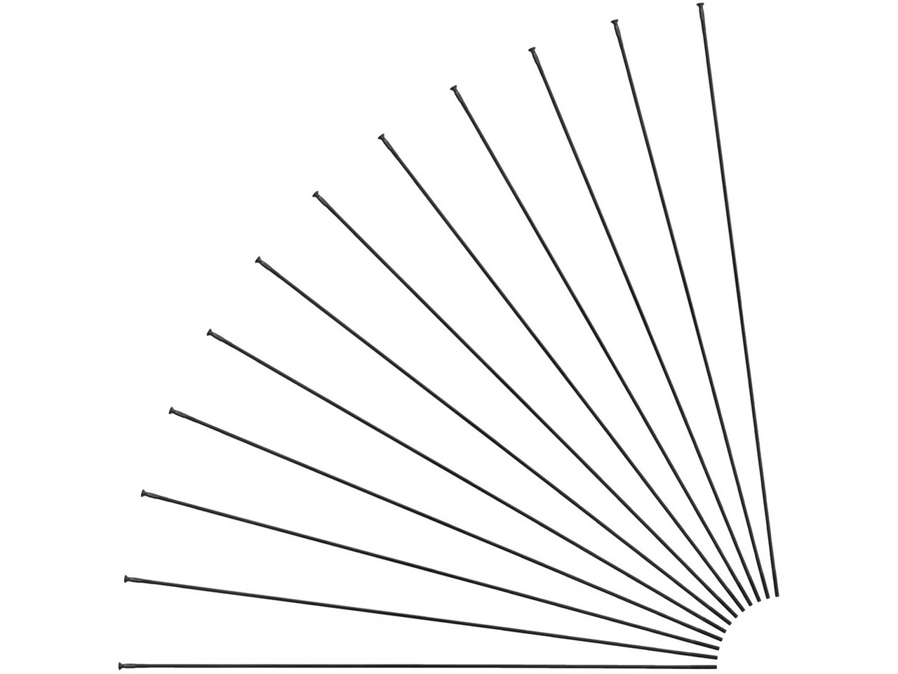 Mavic Radios De Repuesto Crossmax / XA Light 29" Desde Modelo 2018 1 Mavic Radios De Repuesto Crossmax / XA Light 29" Desde Modelo 2018