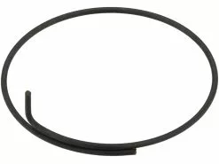 Dt-swiss Resorte De Trinquete Para Buje RT DT Onyx