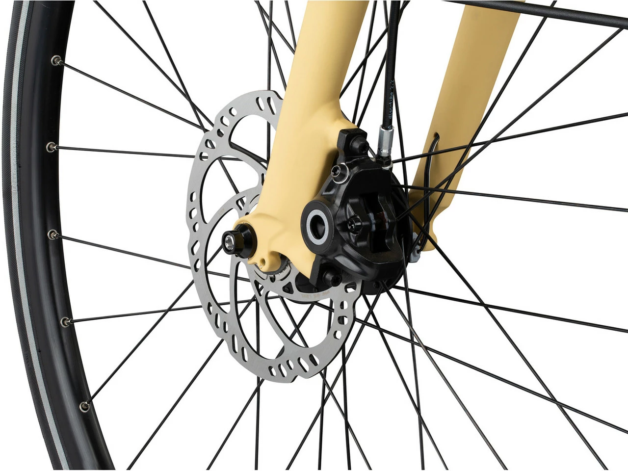 Vortrieb Bicicleta Para Hombres Modell 1 Campus Edition 6 Vortrieb Bicicleta Para Hombres Modell 1 Campus Edition - Imagen 6