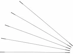 Sapim Radios CX-Ray Straightpull + Cabecillas - 5 Unidades