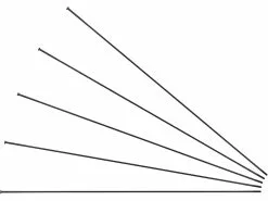 Sapim Radios Race Straightpull + Cabecillas - 5 Unidades