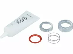 Dt-swiss Kit De Mantenimiento Para Rueda Libres EXP